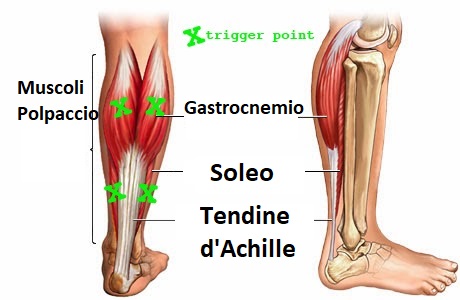 crampi alle gambe bastone massaggiante a rullo per atleti corridori Podazz aiuta il recupero della schiena e adatto per trigger points quadricipiti polpacci e tendini del ginocchio